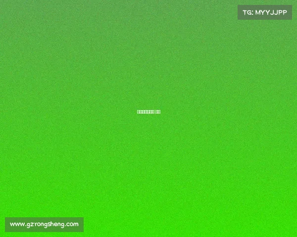 砀山国际赛马场 概况